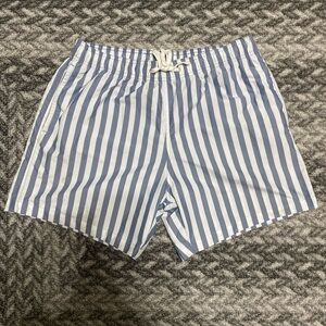 Blue and White Striped Men's Bathing Suit